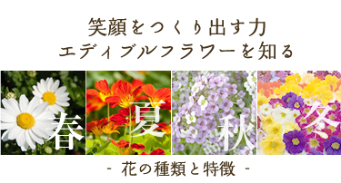 笑顔をつくり出す力エディブルフラワーを知る