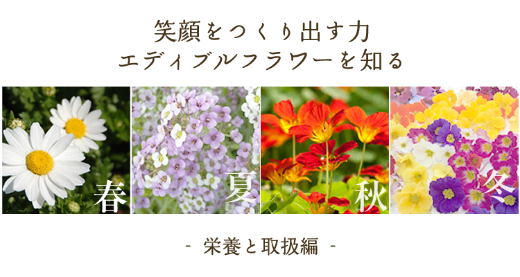 はるえいようはな Amazon.co.jp: 【ビタミンカラー】明るいビタミンカラーミックス
